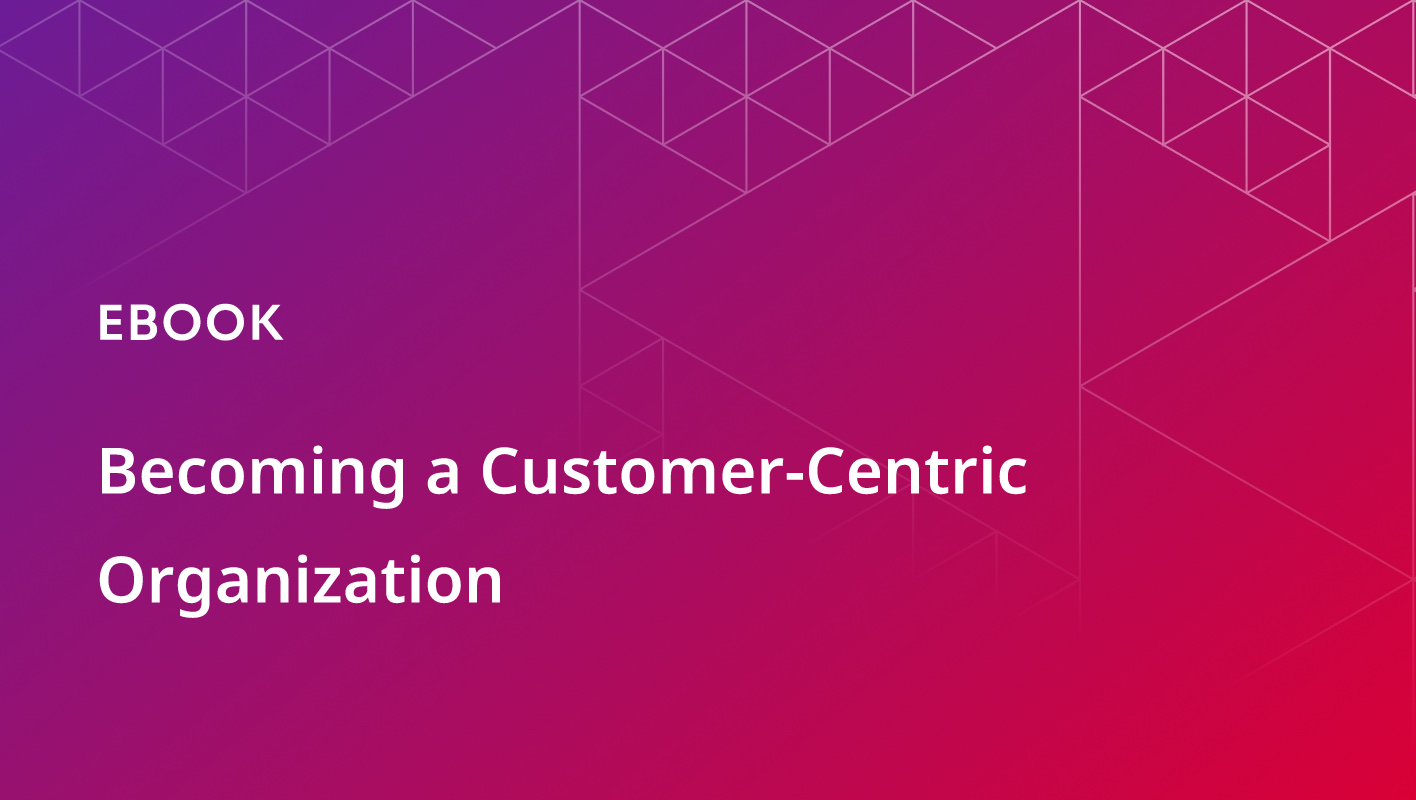 Becoming a Customer-Centric Organization