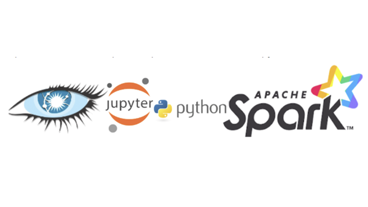 Cassandra Jupyter Python Apache Spark Logo